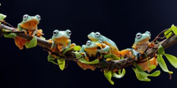 Frogoscape: The Fascinating World Of Frogs Unveiled!