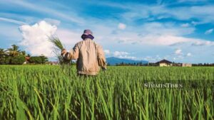 julukan indonesia karena bidang pertaniannya